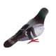 thumbnail image 4 of Estatua de Plumas de Aves Artificial Estatua de Jardinería Decorativas Macetas, 4 of 8