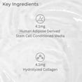 thumbnail image 4 of Crema hidratante facial antienvejecimiento Berayouth con células madre vegetales que ayuda a reducir las arrugas Ingredientes naturales Sin crueldad por LEudine, 4 of 5
