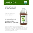 thumbnail image 2 of velona Amla Oil USDA Certified Organic - 64 Fl Oz | 100% Pure and Natural Carrier Oil | Extra Virgin, Unrefined, Cold Pressed | Body, Face & Skin Care, 2 of 5