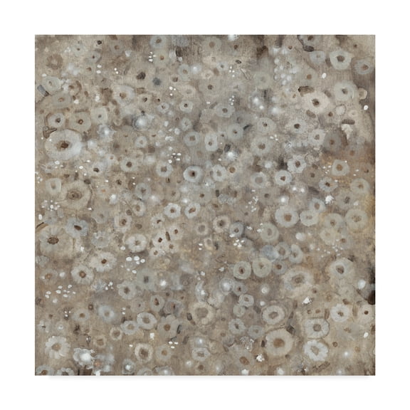 Trademark Fine Art 'Multiplicity I' Canvas Art by Tim OToole