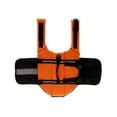 thumbnail image 3 of Chaleco salvavidas para mascotas, suministros para mascotas, traje de baño para perros, tamaño de verano para perros, suministros de natación para perros, tamaño 7, 3 of 5