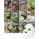 thumbnail image 1 of Mascarilla facial DERMAL Super Food, paquete de 12 unidades para el cuidado de la piel, 1 of 7
