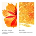 thumbnail image 3 of Sérum SOTHYS Perfect Shape Youth 30 ml para todo tipo de piel, 3 of 5