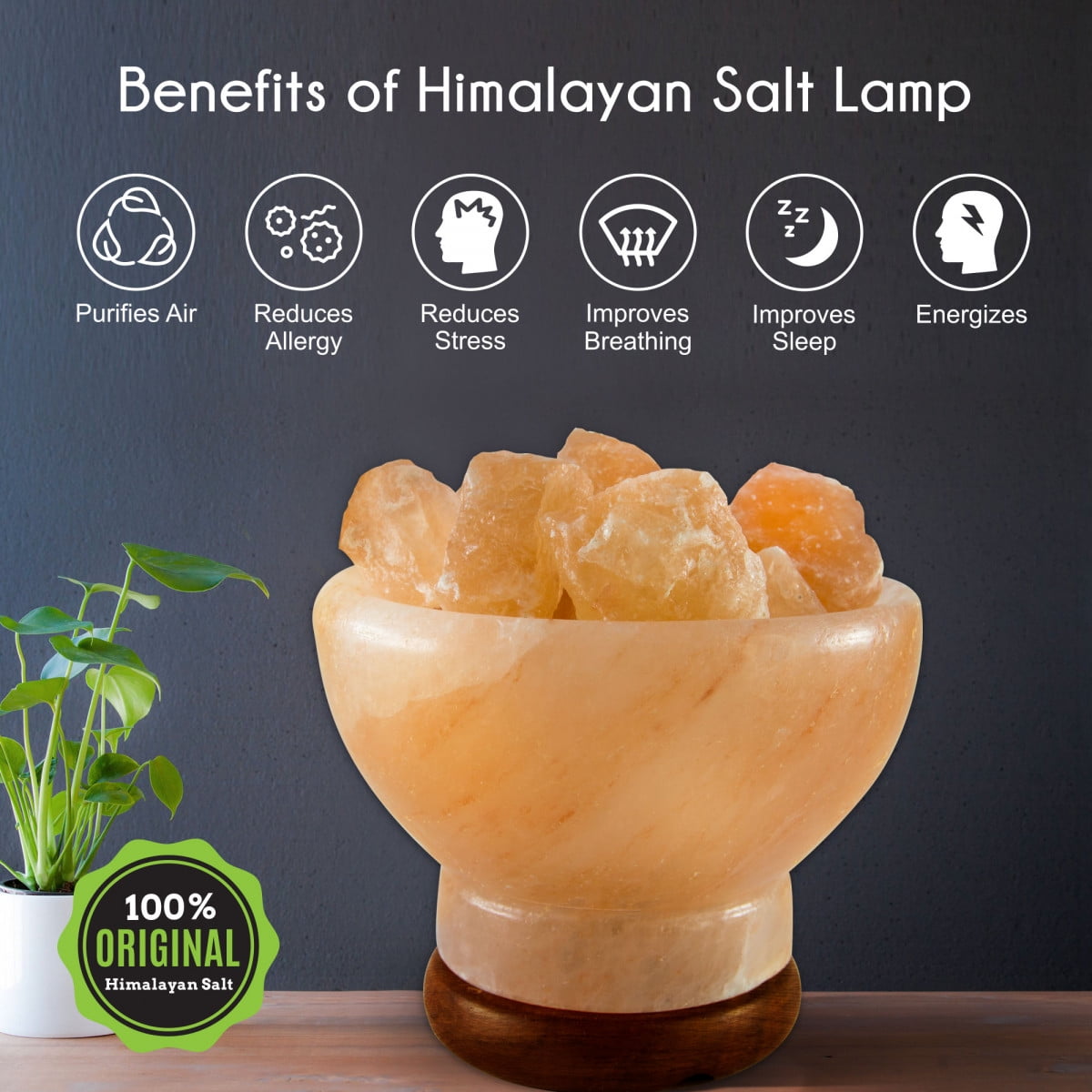 Himalayan salt 2024 bowl benefits