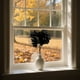 thumbnail image 5 of Decoraciones de Halloween, decoraciones para el hogar, decoración de otoño, ramas de hojas de arce de seda artificial, tallos de otoño, hojas de arce falsas para ramo de boda, mesa, plantas artificial, 5 of 6