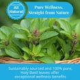 thumbnail image 6 of Akshit Dried Holy Basil Leaves, Tulsi Loose Leaf, Calming & Relief Tea, Non-GMO, Caffeine Free,  2.6 oz, 6 of 10