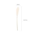 thumbnail image 2 of LOLIPPYY Beige Artificial Pampas Grass Decoration for Weddings and Home Decor with Iron Wire and Cloth, Fluffy Pampas Grass 36 Inches, 2 of 8