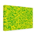 thumbnail image 2 of Stessi 'Abstract 46' Canvas Art, 2 of 4