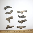 thumbnail image 4 of 5pcs Fossil Specimens Stromatoporoid Fossils Science Decoration (Random Style), 4 of 8