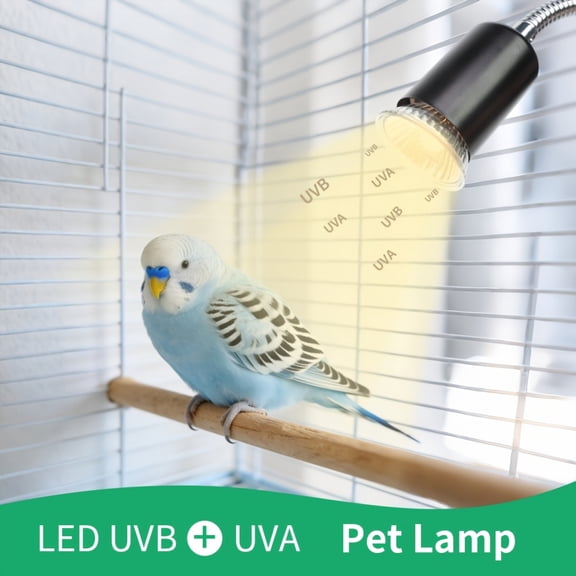 50W UVA UVB Bird Cage Heating Lamp with Adjustable Temperature, Suitable for Birds, Chicks, Turtles, Lizards