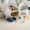 thumbnail image 3 of D Boho Area Rug for Living Room Machine Washable Rug Non Slip Carpet Soft Living Room Rug Room Decor Rugs for Bedroom Kids Playroom, 3 of 5