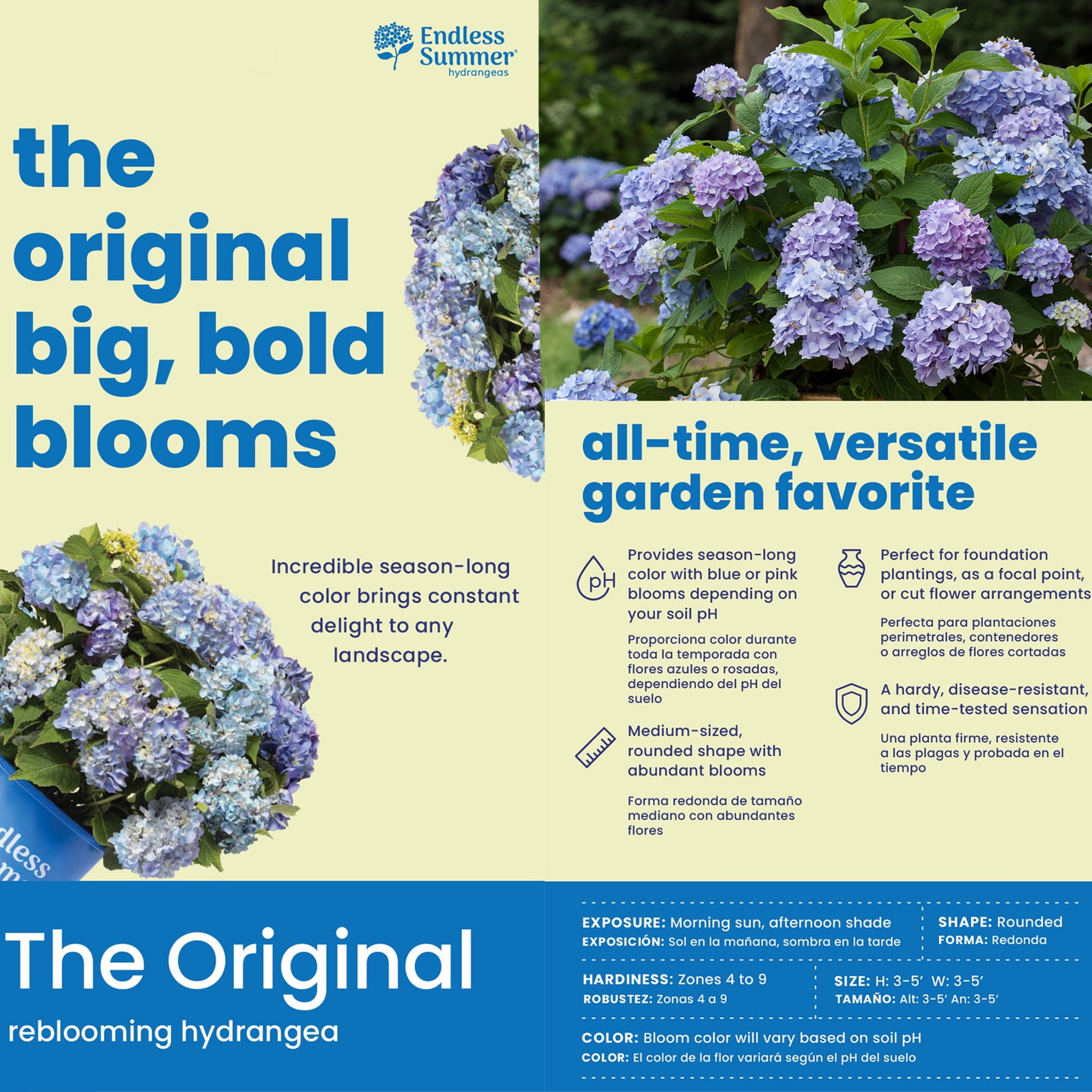 Endless Summer The Original Reblooming Hydrangea Live Shrub in 2-Gallon Grower Pot