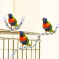 thumbnail image 4 of Percha de cuerda para pájaros, cómoda hamaca de algodón para loros, con cuerda elástica, juguete para masticar y para animales aplicables: pájaros, loros y hámsteres., 4 of 8