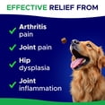 thumbnail image 5 of Glucosamine for Dogs Hip & Joint Supplement - Chondroitin, Omega-3, MSM - Joint Health & Pain Relief - Senior & Large Dogs - Made in USA - 180 Mobility Chews, 5 of 7