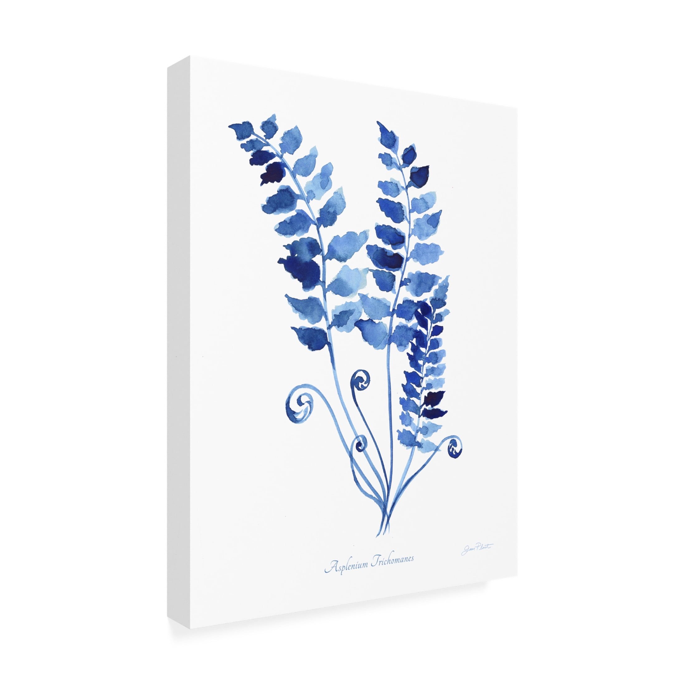 Canvas Wall Art - Jean Plout 'Indigo Botanical 9' Wall Art for Living Room, Bedroom, or Office Décor by Trademark Fine Art - 14 x 19 Inches