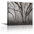 thumbnail image 1 of Misty Dance Sq - Contemporary Fine Art Giclee on Canvas Gallery Wrap - wall décor - Art painting - 32 x 32 Inch - Ready to Hang, 1 of 2