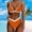 Orange, variant on Baqcunre High-Cut & High-Waisted Bikini Sets for Women: Seductive Two-Piece Swimwear, 1 Pc Swimsuit Blue S