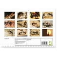 thumbnail image 2 of Exotic ants (Monthly Wall Calendar 2026 11.7 x 16.5 (open)), CALVENDO 14 Month Calendar, 2 of 9