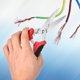 thumbnail image 5 of Tijeras para Cables ANGGREK Acero Inoxidable Herramienta Manual Horticultura, 5 of 8