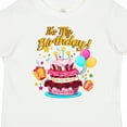 thumbnail image 4 of Inktastic It's My Birthday Boys or Girls Toddler T-Shirt, 4 of 5