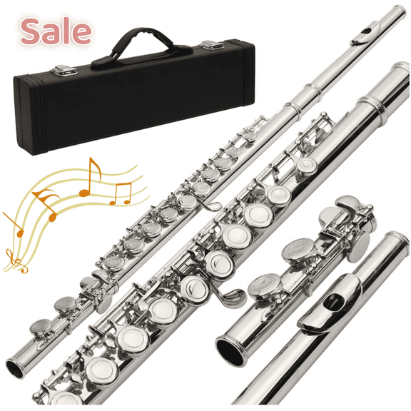 Tcbosik 16 Keys C Closed Hole Flute with E Key, Instrument for Beginner with Carrying Case, Cloth, Lubricant, Screwdriver and Cleaning Rod, Silver