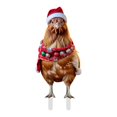 thumbnail image 1 of Navidad Gallo Divertido Pila De Tierra Insertar Arte Decoración De Jardín Decoración Navideña Colorida Decoración Navideña Para El Jardín, 1 of 2