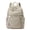 Gray, variant on Mini Nylon Backpack for Women, Casual Simple Lightweight Resistant Multiple Pockets Mini Travel Daypack