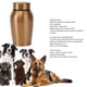 thumbnail image 3 of Urnas Conmemorativas Para Mascotas, Tarro De Cremación Para Mascotas De Acero Inoxidable Profesional Duradero Resistente A La Oxidación Exquisito Para Mascotas Para Gatos, 3 of 7