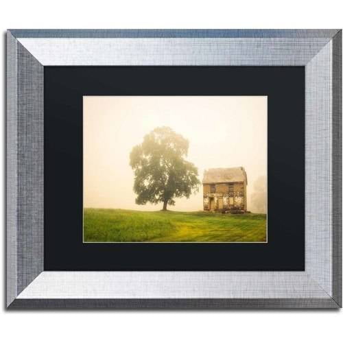 Trademark Fine Art 'Abandoned House on Adams Dam Rd' Canvas Art by PIPA Fine Art, Black Matte, Black Frame