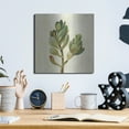 thumbnail image 6 of Luxe Metal Art 'Front Yard Succulent II' by Silvia Vassileva, Metal Wall Art, 12" x 12", 6 of 9