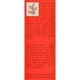 thumbnail image 2 of Hobe Labs Original Slim Tea - 24 Bags, 2 of 2