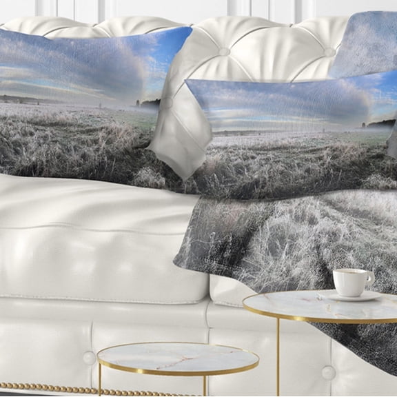 Designart Hoarfrost on Grass under Cloudy Sky - Landscape Printed Throw Pillow - 12x20