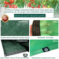 thumbnail image 5 of UCINNOVATE 70% Green Shade Cloth 10 x 10 ft Sunblock Mesh Fabric, Durable UV Resistant Plant Cover, Sun Shade Net with Grommets & Eyelets for Patio Pergola Garden Outdoor, 5 of 7