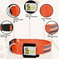 thumbnail image 4 of DOGGYLOVE LED Dog Collar – Lighted Collars for All Pets – USB Rechargeable Dog Collar for Pet Night Walking – Adjustable Light Up Dog Collar with Super Bright Safety - For Male/Female Dog (L, Orange), 4 of 7