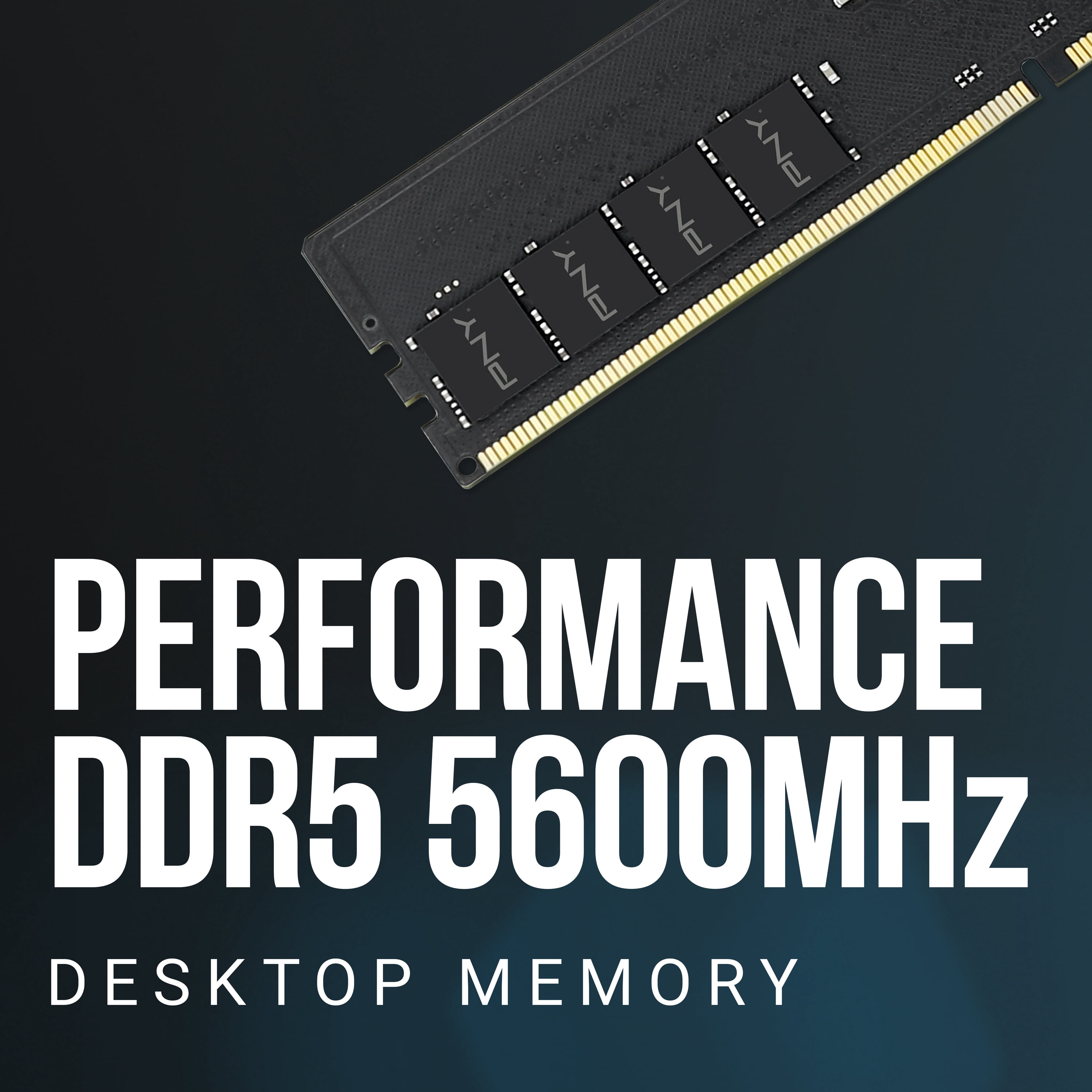 PNY Performance 16GB (2x8GB) DDR5 RAM 5600MHz (PC5-44800) - CL46, 1.1V - Compatible with 5200MHz, 4800MHz - Desktop Memory Kit - MD16GK2D5560046-TB - Not Compatible with Intel 15th Gen