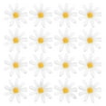 thumbnail image 1 of 100pcs Artificial Daisy Plastic Daisy Artificial Daisy Flowers Heads Daisy Party Decorations, 1 of 7