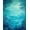Blue, Pattern 3, variant on ODIKA 4'x6' Machine Washable Non-Slip Area Rug, Oceanic Creature Motif High Traffic Rug, Blue, 30596