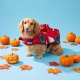 thumbnail image 2 of Vibrant Life Halloween Racing Driver Costume for Dogs and Cats, Red, Small, 2 of 8