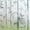 Frosted Bamboo, variant on Window Privacy Film Rainbow 3D Decorative Glass Vinyl Stained Glass Decals Static Cling Window Sticker Non-Adhesive Films