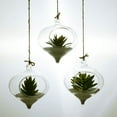 thumbnail image 5 of Dewadbow Clear Round Glass Flower Hanging Vase Ball Planter Terrarium Bottle, 5 of 6