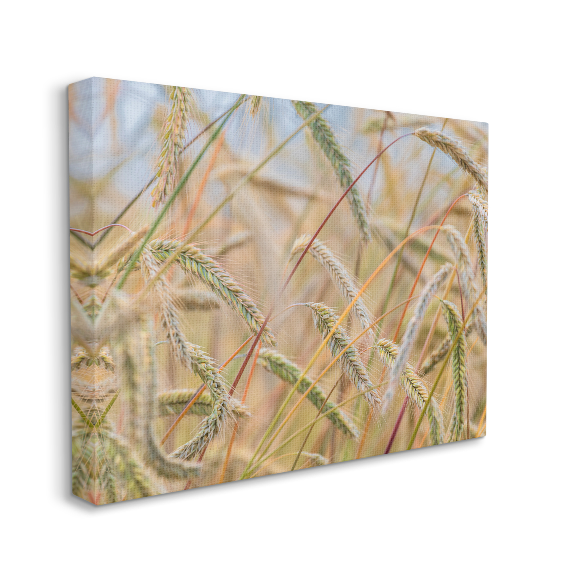 Stupell Industries Country Wheat Photography Nature Photography Gallery Wrapped Canvas Print Wall Art, 48 x 36
