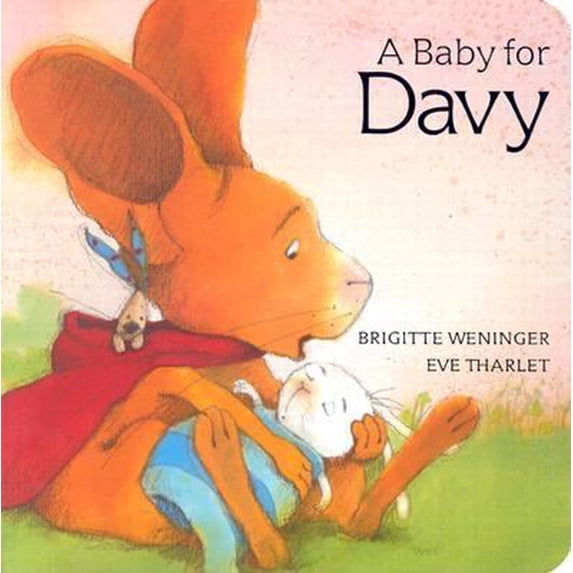 Pre-Owned A Baby for Davy (Unknown) 0735817464 9780735817463