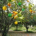 thumbnail image 6 of 6PCS Fruit Fly Trap Balls, Sticky Fly Traps for Fruit Trees, Hanging Insect Gnat Traps for Orchard Garden, Reusable Pest Control for Citrus, Apple, Orange Trees, 6 of 9