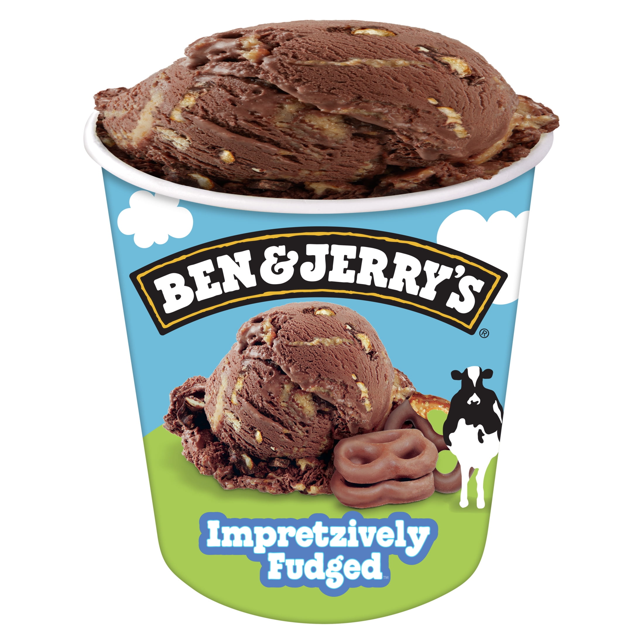 Ben & Jerry's Impretzively Fudged Chocolate Ice Cream Pint, 16 fl oz