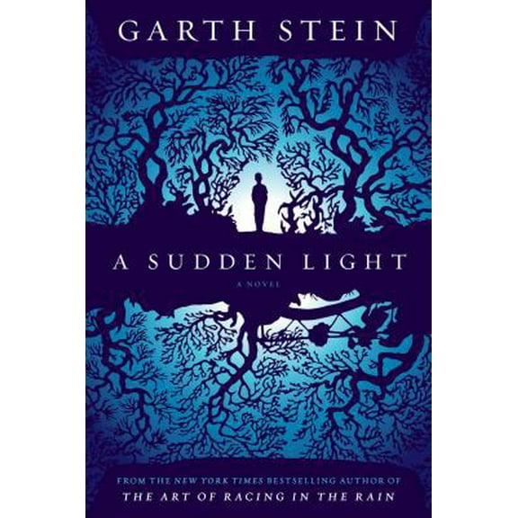 Pre-Owned A Sudden Light (Paperback) 1476791104 9781476791104