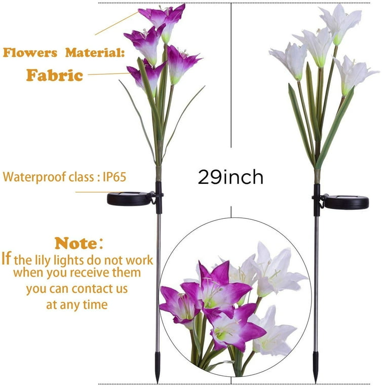 2 Pack Outdoor Solar Garden Stake Lights - Coolmade Solar Powered Lights with 8 Lily Flower, Multi-color Changing LED Solar Stake Lights for Garden, Patio, Backyard (Purple and White) 2 Pack Outdoor Solar Garden Stake Lights - Coolmade Solar Powered Lights with 8 Lily Flower, Multi-color Changing LED Solar Stake Lights for Garden, Patio, Backyard (Purple and White)