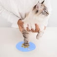 thumbnail image 4 of Hxlamzoo Cat & Dog Paw Print Clay Kit - Memorial Set for Pet Owners, 4 of 6