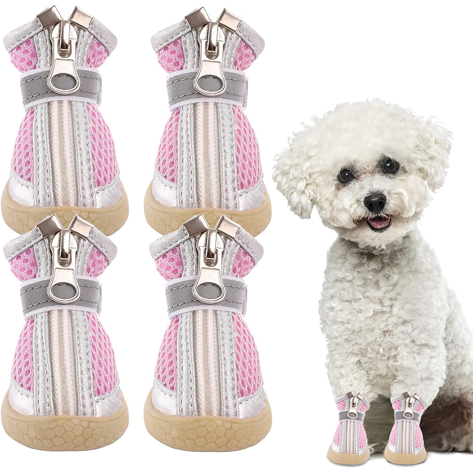 Can Puppies Run On Pavement