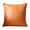 Orange, variant on Orange Accent Pillows with Insert Vibrant Throw Pillows for Couch Sofa Living Room Bedroom Energetic Cushions 45x45 cm