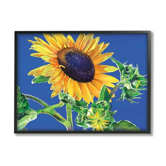Stupell Industries Sunflower on Blue Botanical & Floral Photography Black Framed Art Print Wall Art, 14 x 11